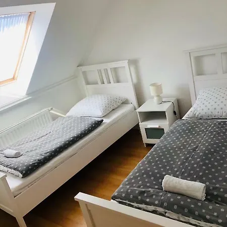 Levendula * Tihany